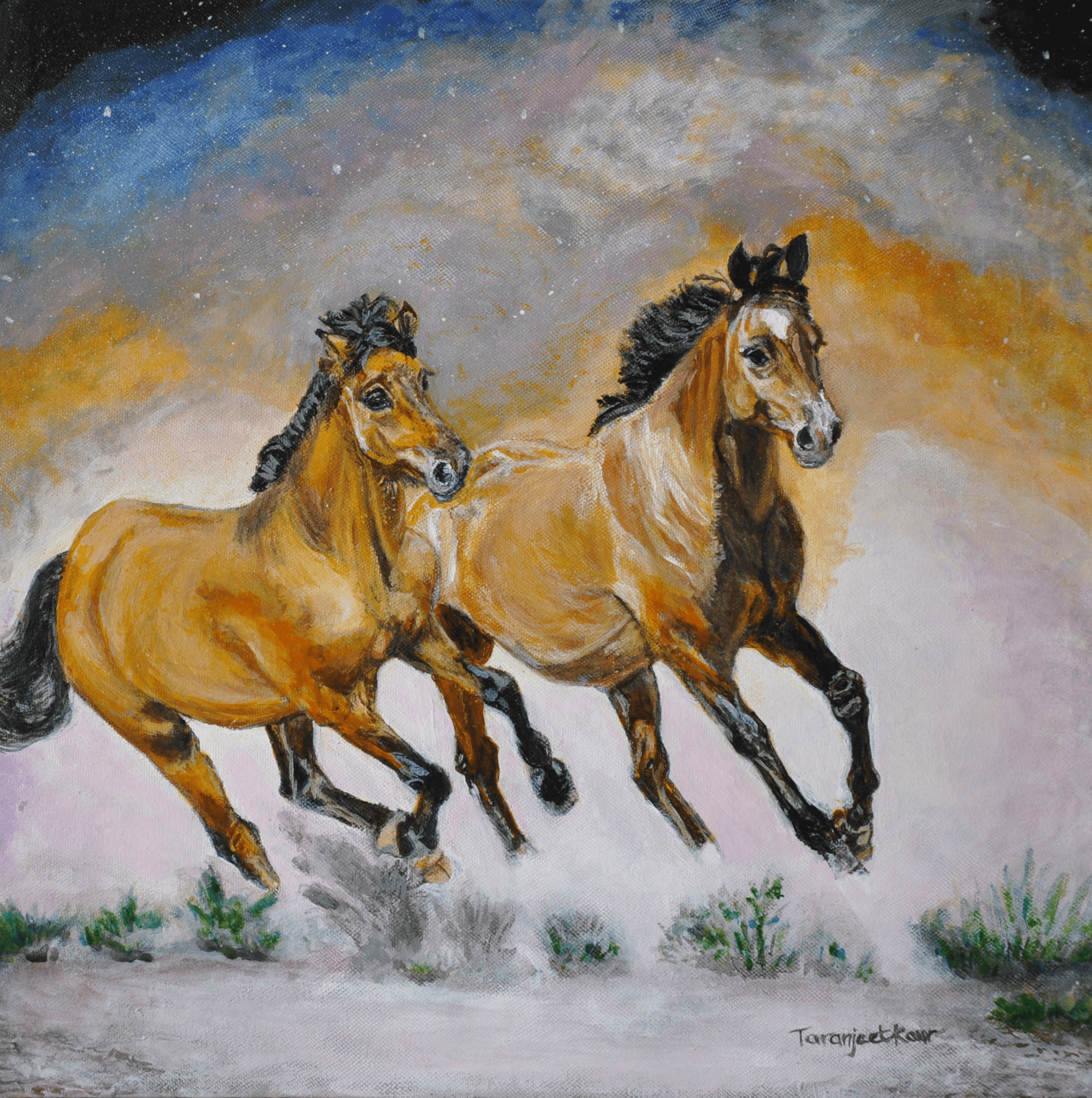 running horses